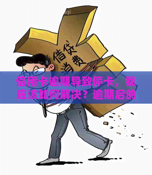 信用卡逾期导致停卡，我应该如何解决？逾期后的影响及恢复方法解析