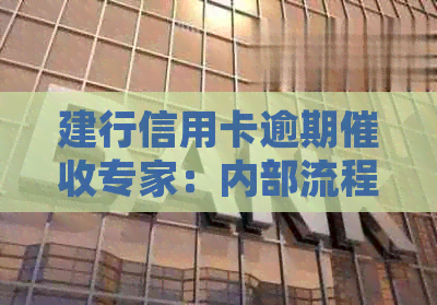 建行信用卡逾期专家：内部流程详解与处理技巧
