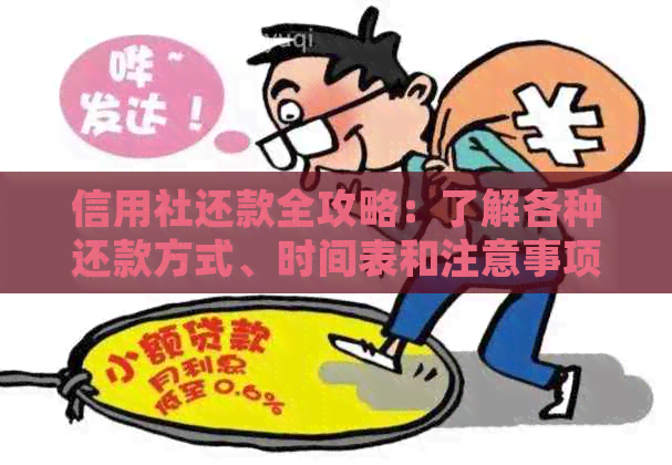 信用社还款全攻略：了解各种还款方式、时间表和注意事项，确保顺利完成还款