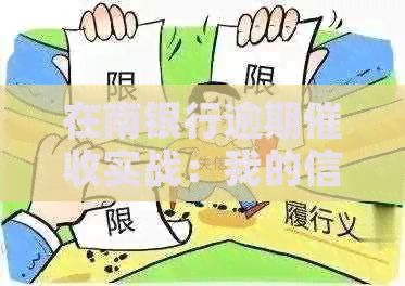 在南银行逾期实战：我的信用卡用卡与经历