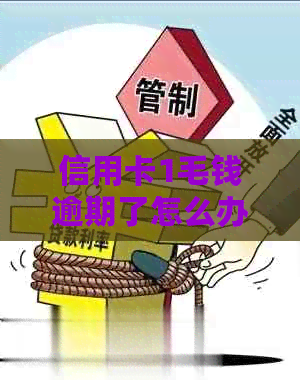 信用卡1毛钱逾期了怎么办？会上吗？如何处理？