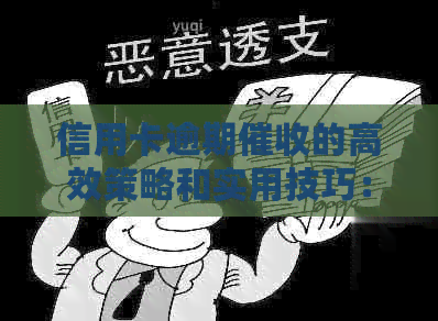 信用卡逾期的高效策略和实用技巧：掌握详细资讯与有效话术