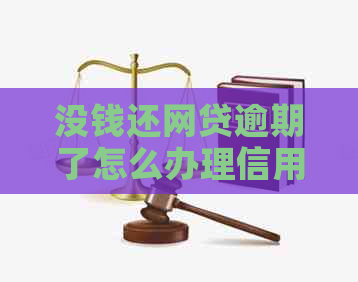 没钱还网贷逾期了怎么办理信用卡借款：解决方法与建议