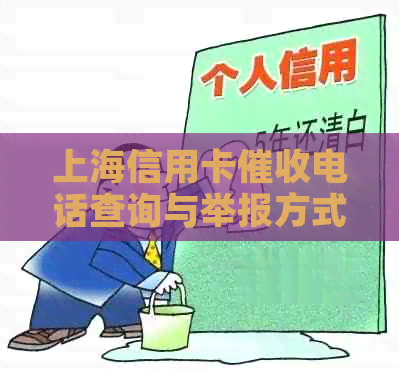 上海信用卡电话查询与举报方式