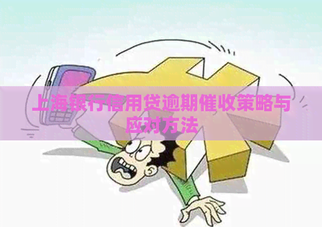 上海银行信用贷逾期策略与应对方法