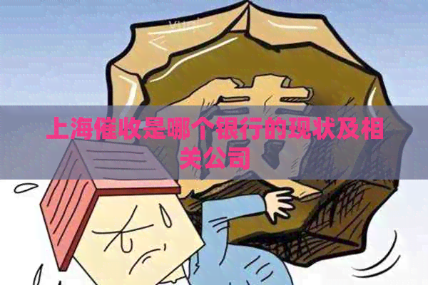 上海是哪个银行的现状及相关公司