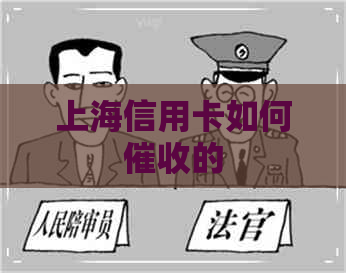 上海信用卡如何的