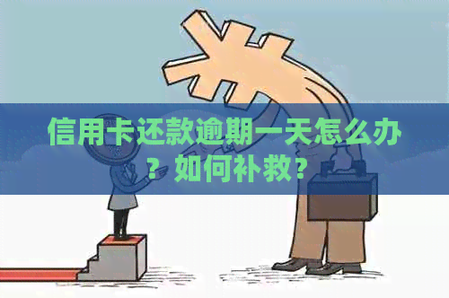 信用卡还款逾期一天怎么办？如何补救？