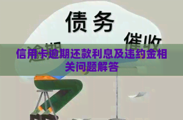 信用卡逾期还款利息及违约金相关问题解答