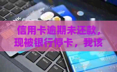 信用卡逾期未还款，现被银行停卡，我该如何解决？