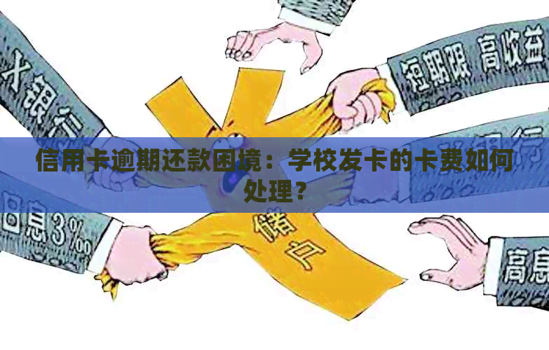 信用卡逾期还款困境：学校发卡的卡费如何处理？