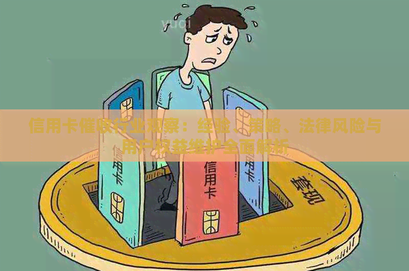 信用卡行业观察：经验、策略、法律风险与用户权益维护全面解析