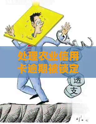 处理农业信用卡逾期被锁定卡片的策略 - 针对逾期问题的解决方案