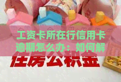 工资卡所在行信用卡逾期怎么办：如何解除冻结并申诉？