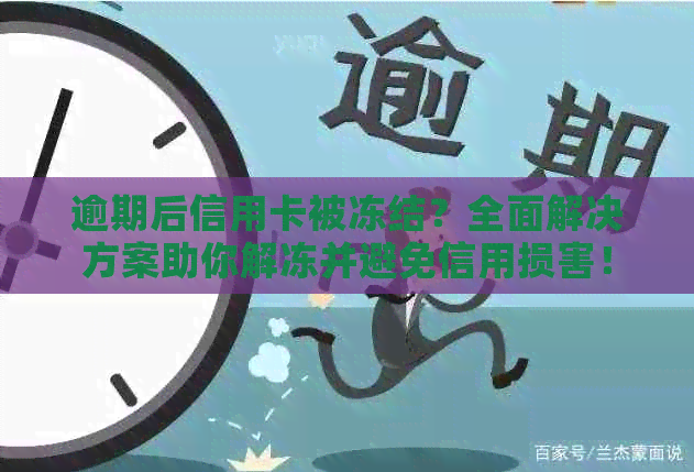 逾期后信用卡被冻结？全面解决方案助你解冻并避免信用损害！