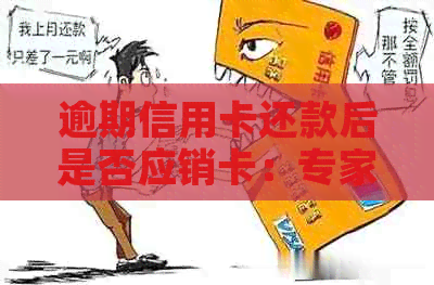 逾期信用卡还款后是否应销卡：专家建议与影响因素分析