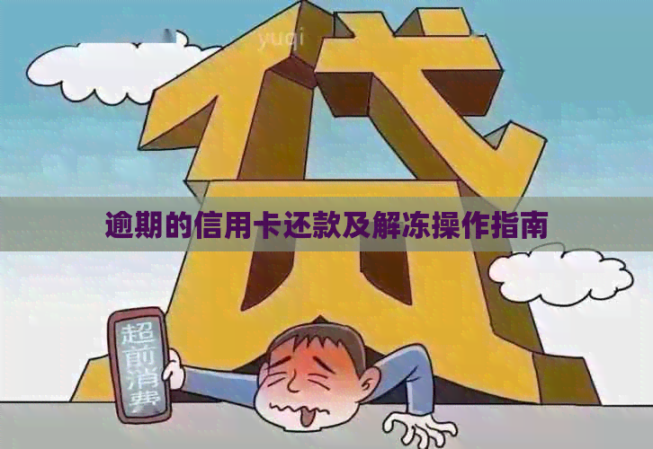 逾期的信用卡还款及解冻操作指南