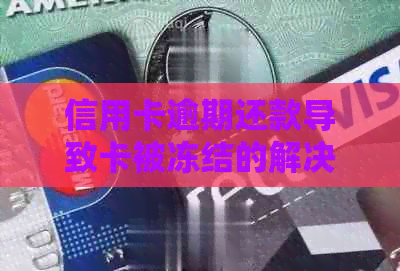 信用卡逾期还款导致卡被冻结的解决策略与建议