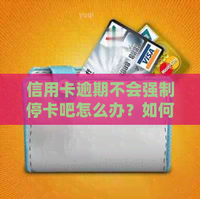 信用卡逾期不会强制停卡吧怎么办？如何处理欠款无力偿还的问题