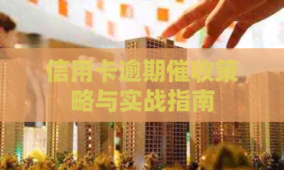 信用卡逾期策略与实战指南