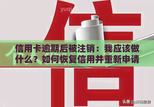 信用卡逾期后被注销：我应该做什么？如何恢复信用并重新申请信用卡？