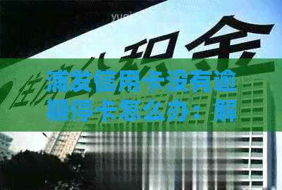 浦发信用卡没有逾期停卡怎么办：解决方法及长期未还款处理