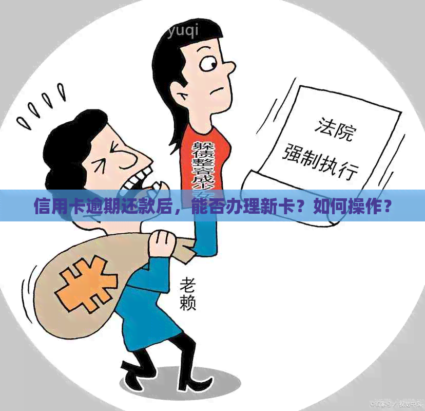 信用卡逾期还款后，能否办理新卡？如何操作？