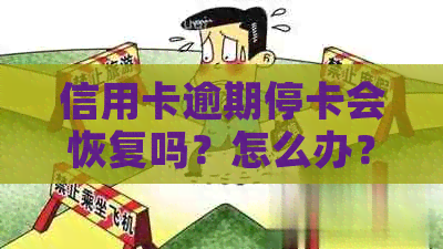 信用卡逾期停卡会恢复吗？怎么办？