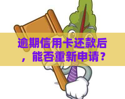 逾期信用卡还款后，能否重新申请？关键步骤和注意事项解析