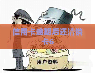 信用卡逾期后还清销卡6