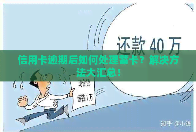 信用卡逾期后如何处理蓄卡？解决方法大汇总！