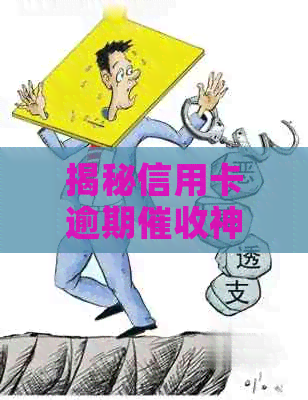 揭秘信用卡逾期神秘团队：他们的工作日常与技术手