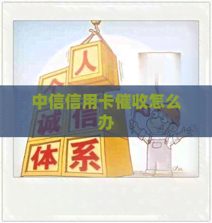 中信信用卡怎么办