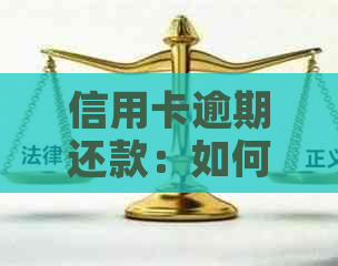 信用卡逾期还款：如何避免社保卡资金被划走？