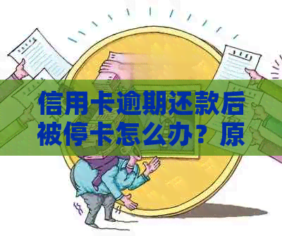 信用卡逾期还款后被停卡怎么办？原因解析及解决办法一文详解