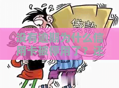 没有逾期为什么信用卡被停用了？还能用吗？被冻结了怎么办？