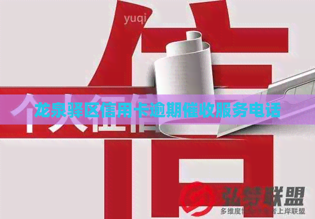 龙泉驿区信用卡逾期服务电话