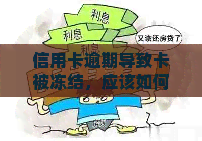 信用卡逾期导致卡被冻结，应该如何解冻？