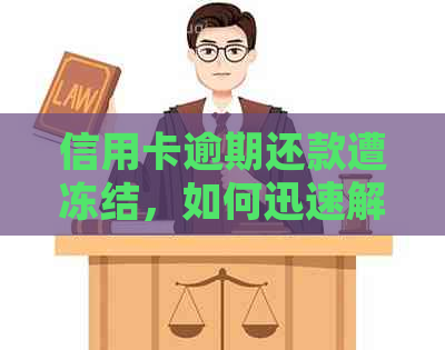 信用卡逾期还款遭冻结，如何迅速解冻并制定还款计划？