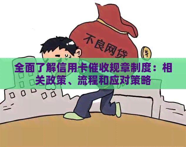 全面了解信用卡规章制度：相关政策、流程和应对策略