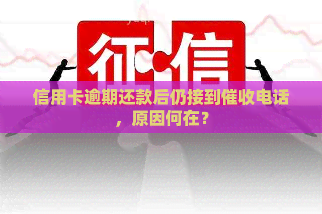 信用卡逾期还款后仍接到电话，原因何在？