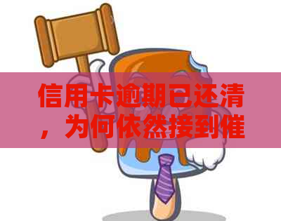 信用卡逾期已还清，为何依然接到电话？是否合法？
