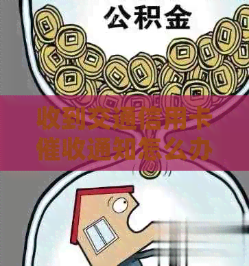 收到交通信用卡通知怎么办——处理指南与建议