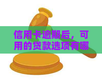 信用卡逾期后，可用的贷款选项有哪些？