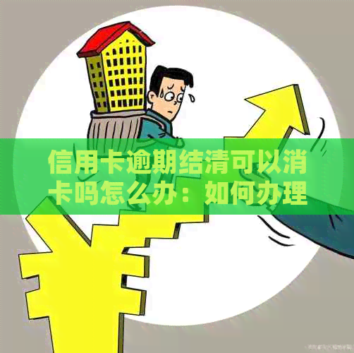 信用卡逾期结清可以消卡吗怎么办：如何办理信用卡逾期结清后销户