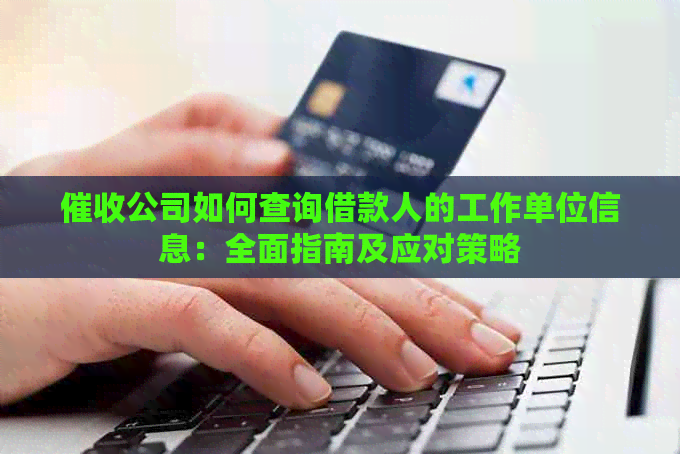 公司如何查询借款人的工作单位信息：全面指南及应对策略