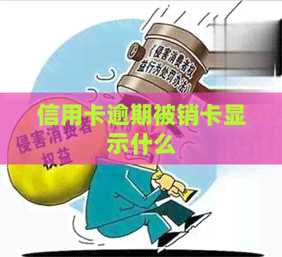 信用卡逾期被销卡显示什么