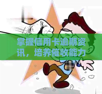 掌握信用卡逾期资讯，培养能力：成为高效员所需的关键素质