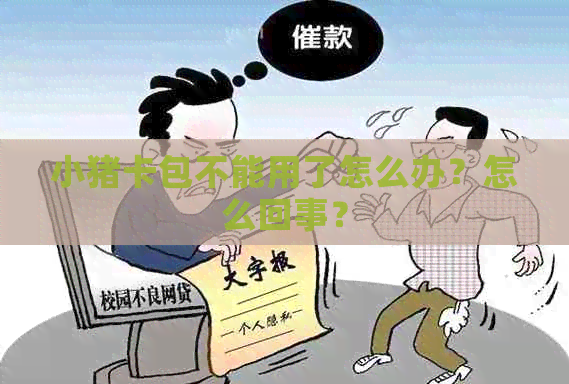 小猪卡包不能用了怎么办？怎么回事？