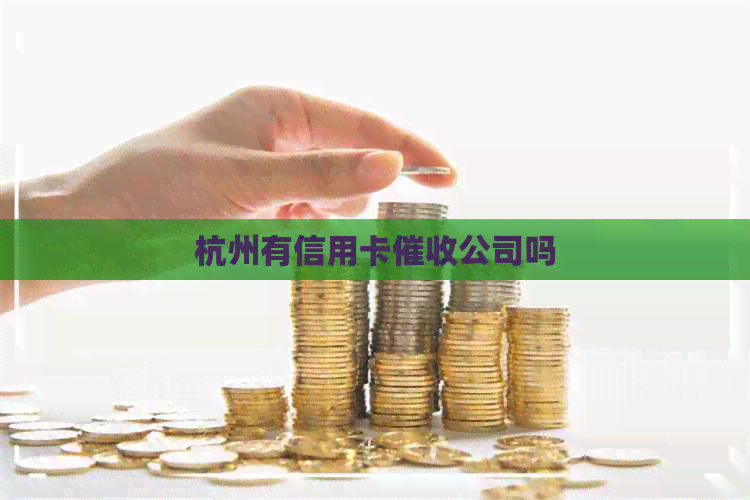 杭州有信用卡公司吗